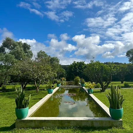 Maison Emeraude بيت ضيافة Rabo de Peixe