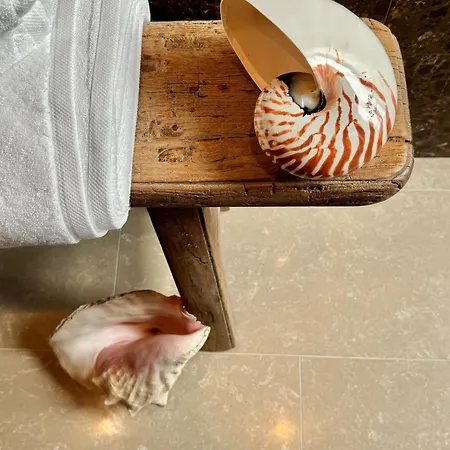 بيت ضيافة Maison Emeraude Rabo de Peixe