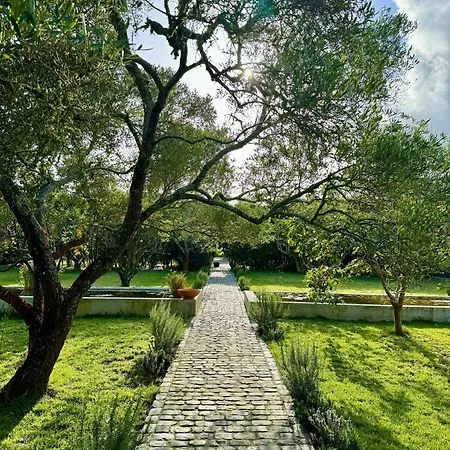 Maison Emeraude Gæstehus