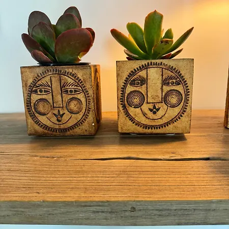 Gæstehus Maison Emeraude Rabo de Peixe